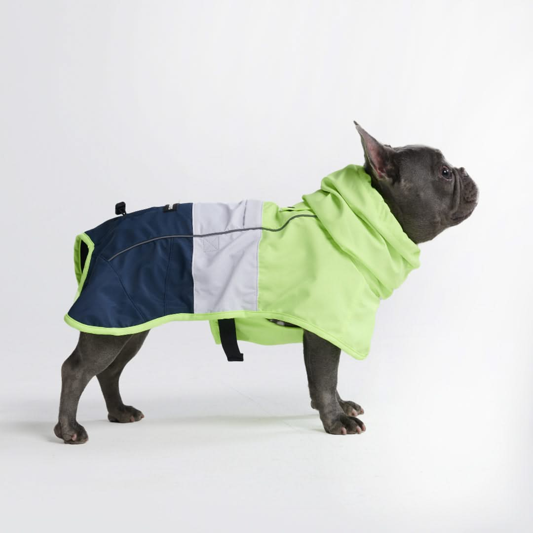 Top paw hotsell dog raincoat