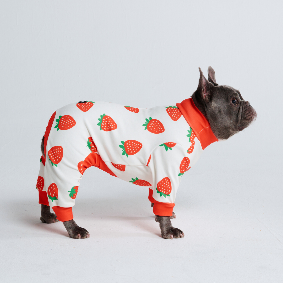 Strawberry Cotton Dog Pajamas