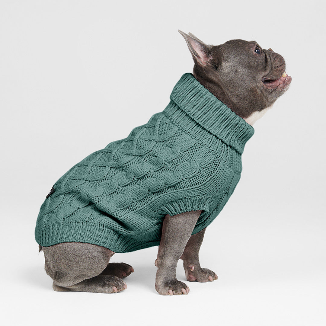 Green Cable Knit Dog Sweater by Bee & Willow Home