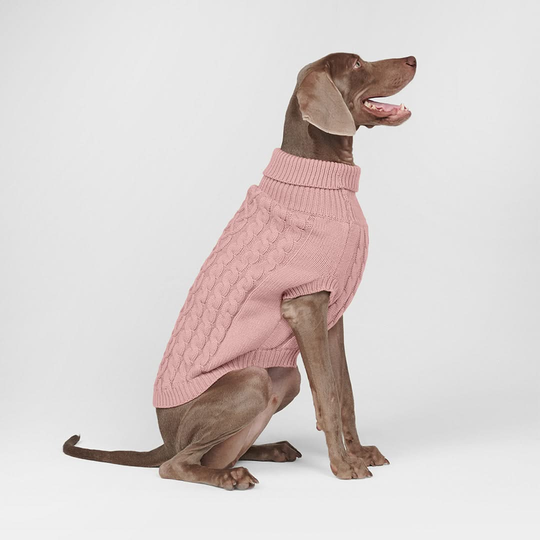 Pink Hand Knit 2024 Sweater Dress for Dogs, Cables and Flowers, One of a Kind, x-small