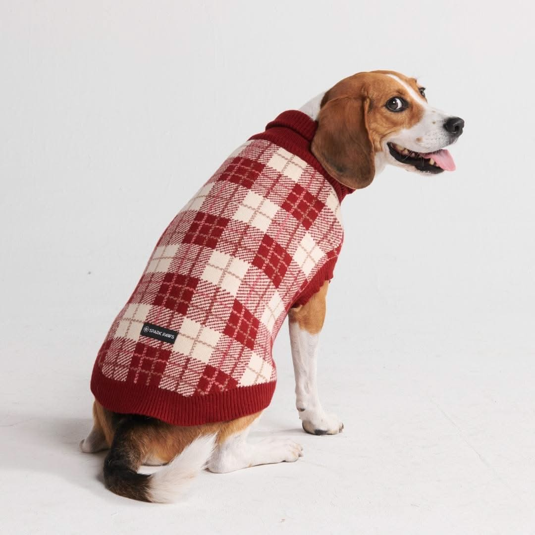 Red plaid dog fashion sweater