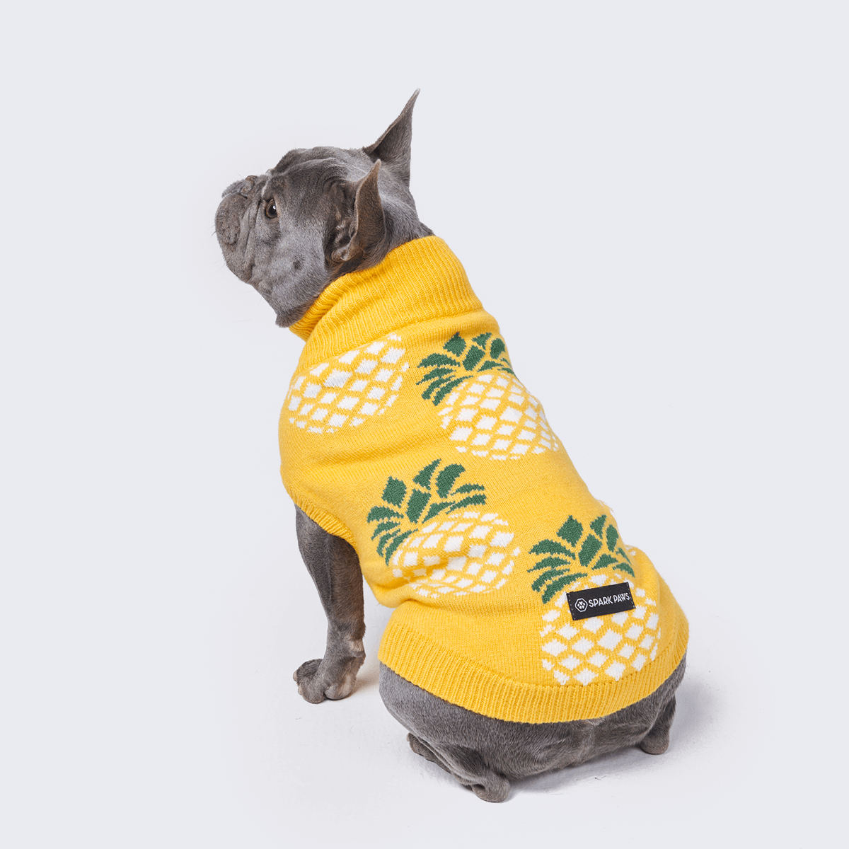 Pineapple 2025 dog sweater