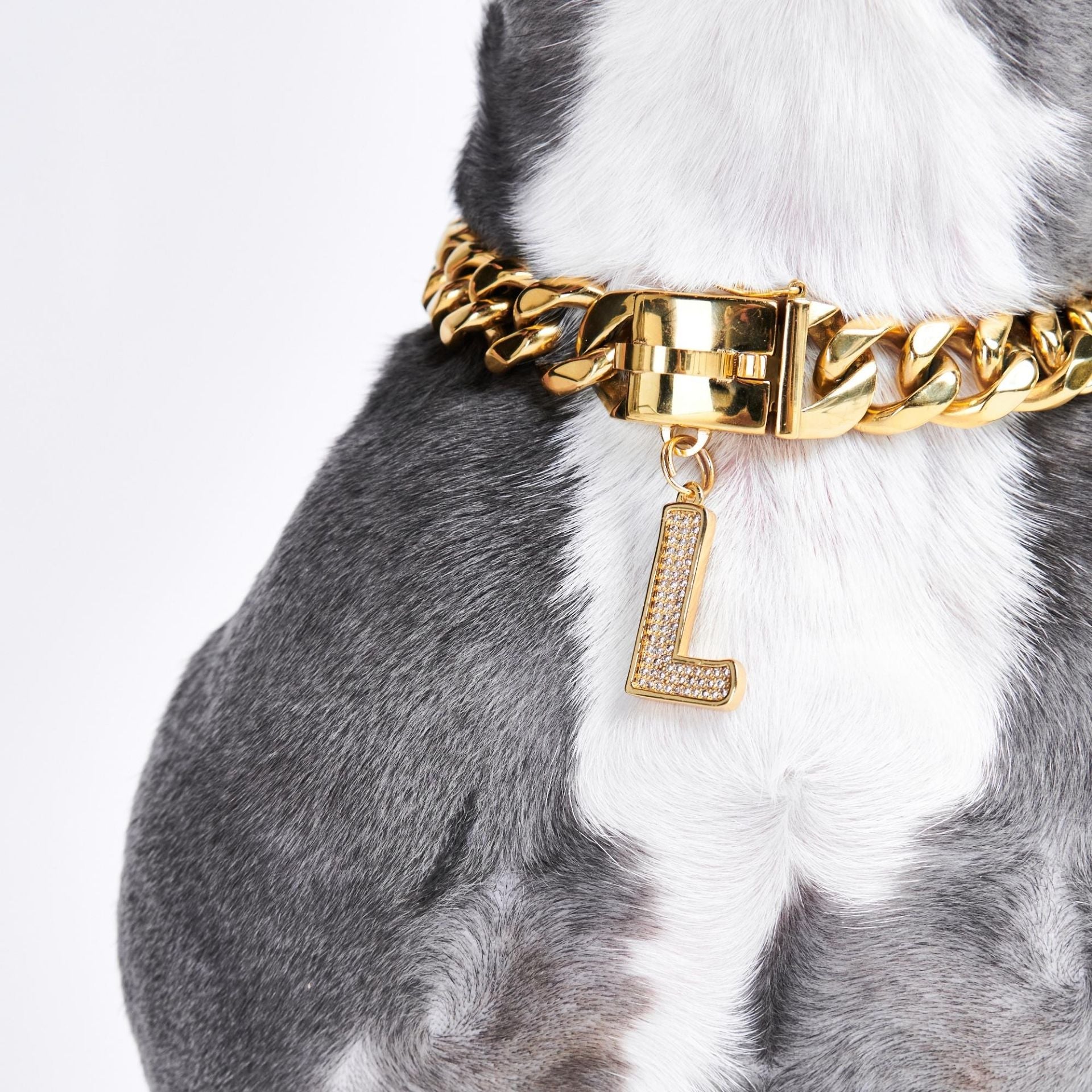 Gold Initial Letter Jewelry Tag for Dogs - R – SPARK PAWS