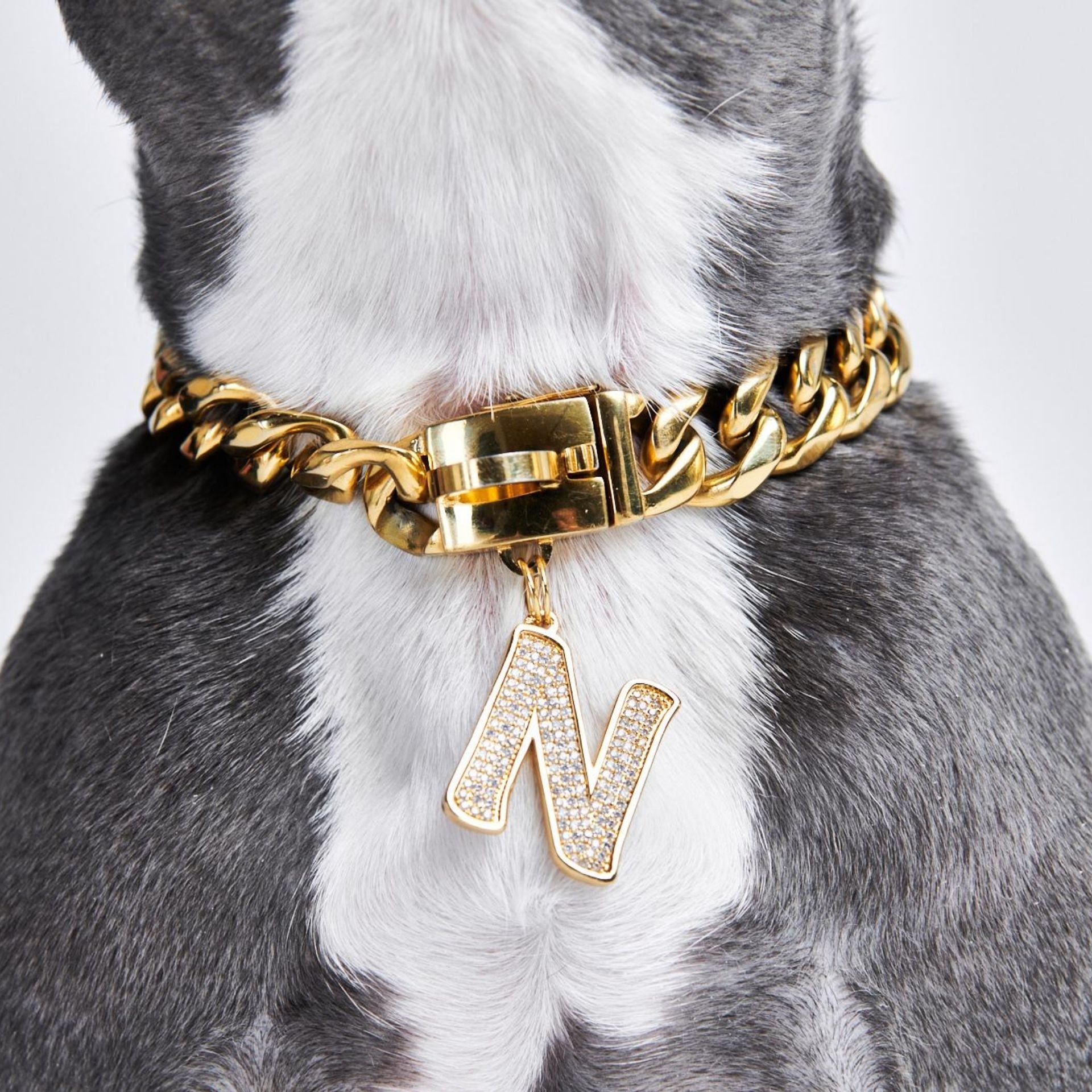 Gold Initial Letter Jewelry Tag for Dogs - B – SPARK PAWS