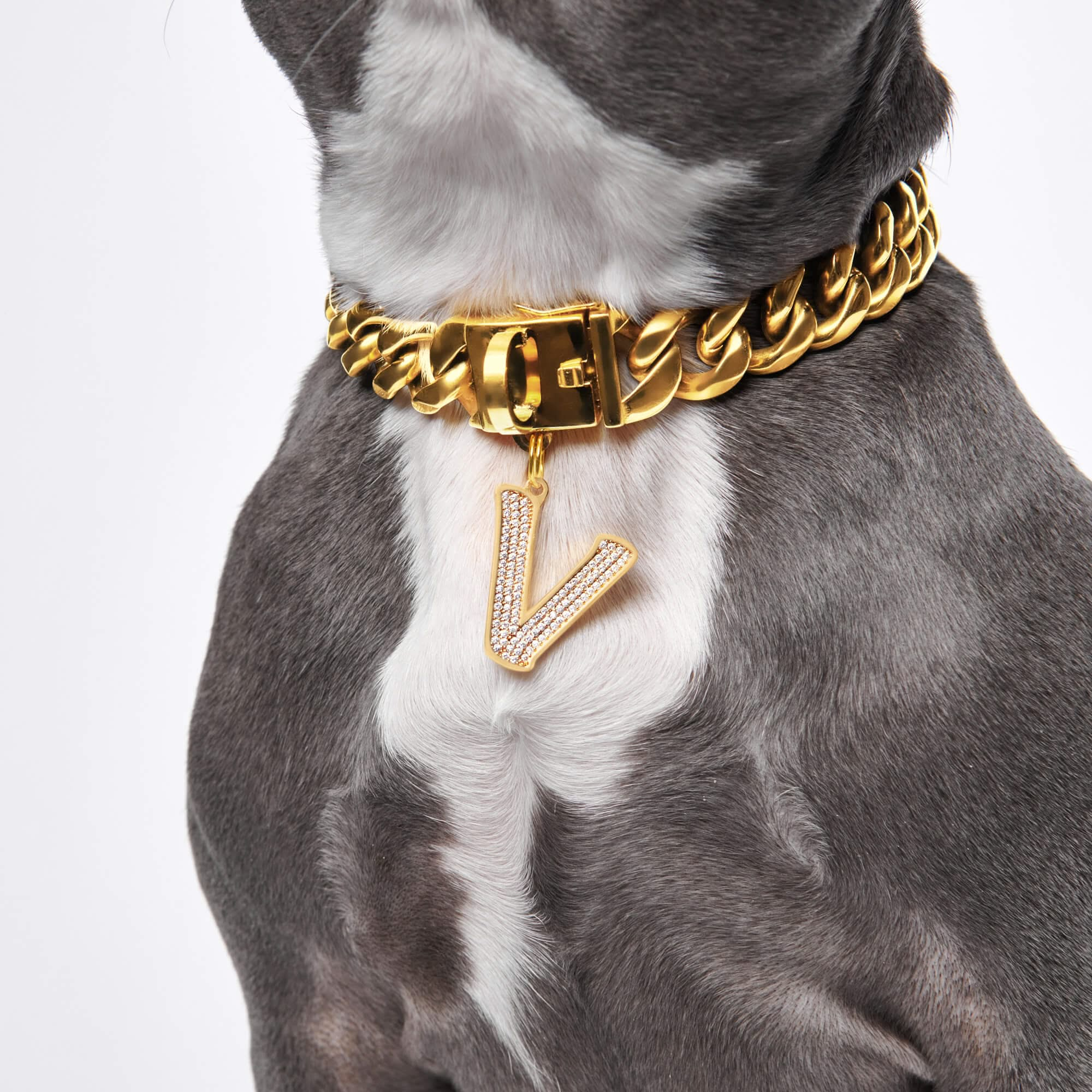 Gold Initial Letter Jewelry Tag for Dogs - P – SPARK PAWS