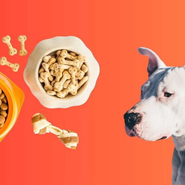 Good dog treats for hot sale pitbulls