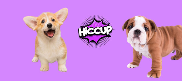 Puppy Hiccups: Causes and Remedies for Your Furry Friend