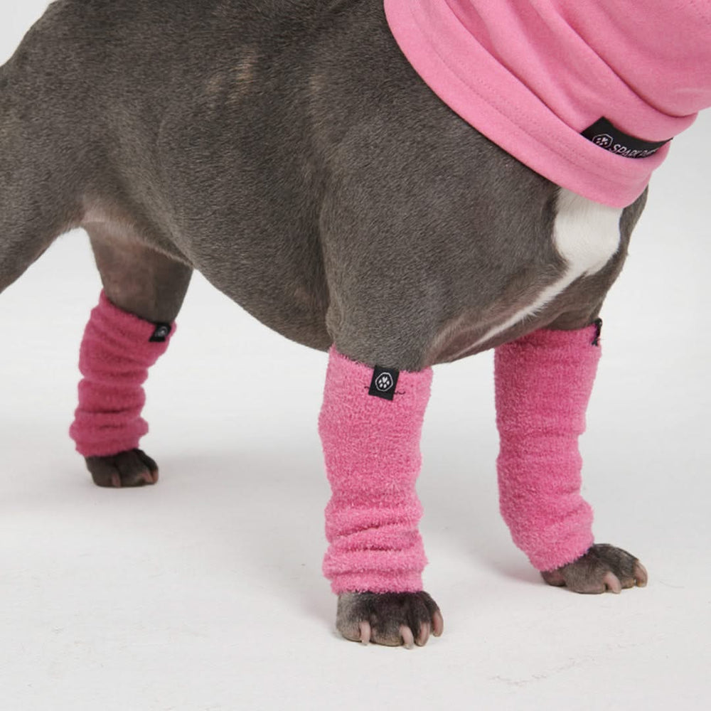 Large dog leg warmers best sale