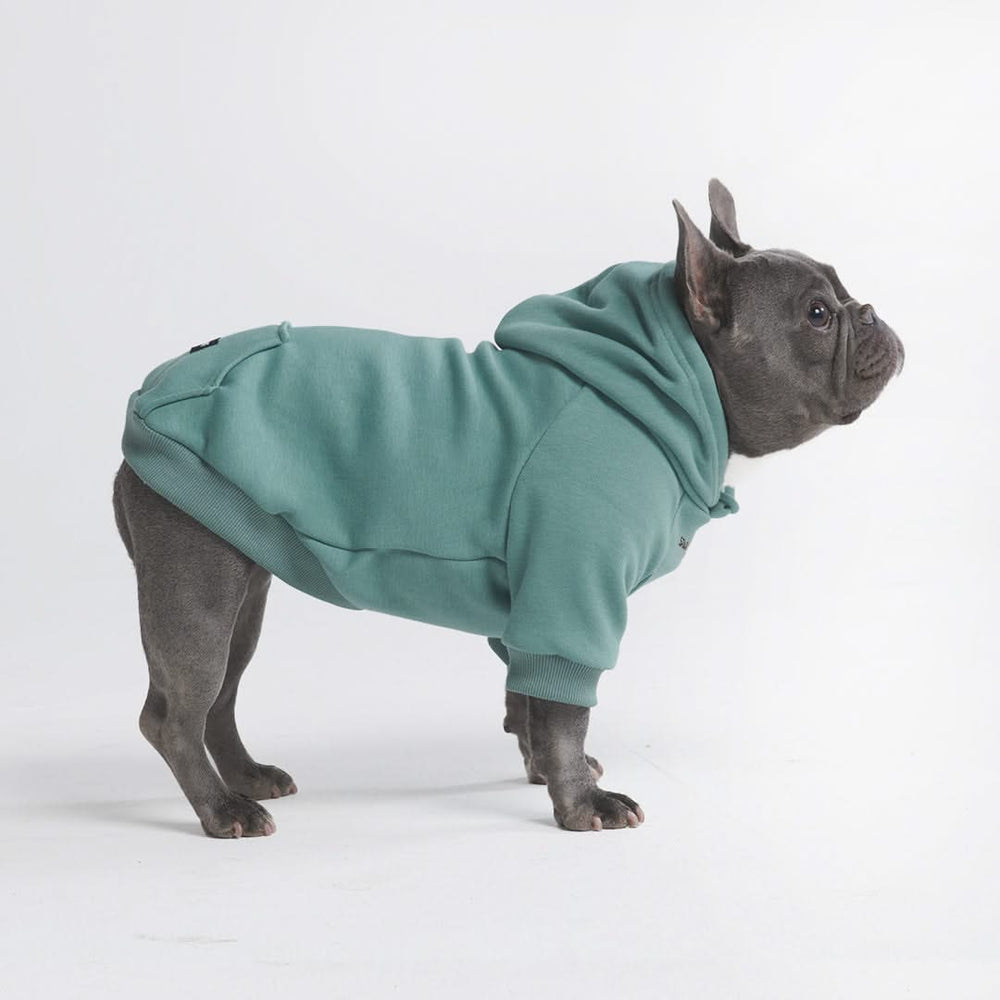 Matching dog and owner coats best sale