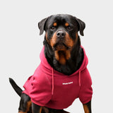 Essential Dog Hoodie - Burgundy