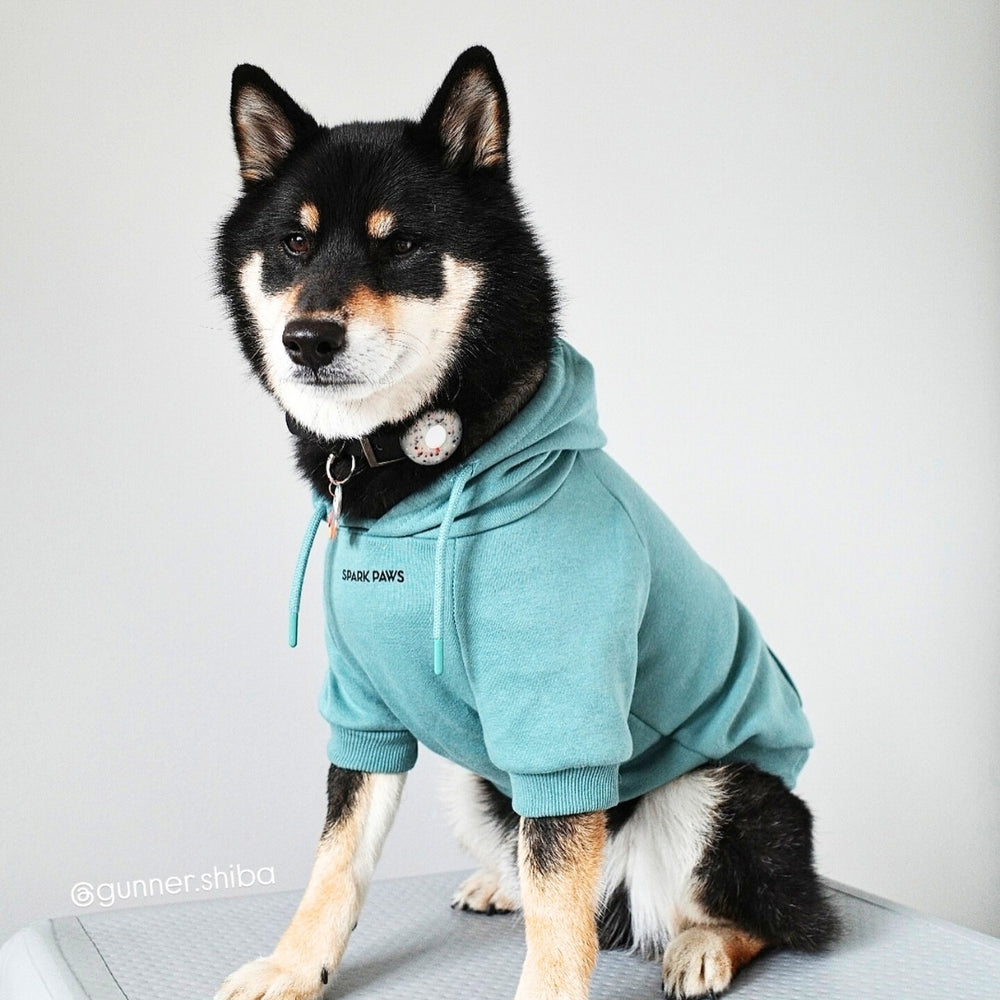 Dog Hoodies Sweatshirts Sweaters and Jumpers SPARK PAWS