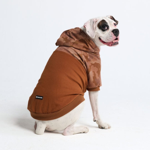 Desert Camo Dog Hoodie