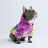 Velvet Dog Hoodie - Berry Lemonade