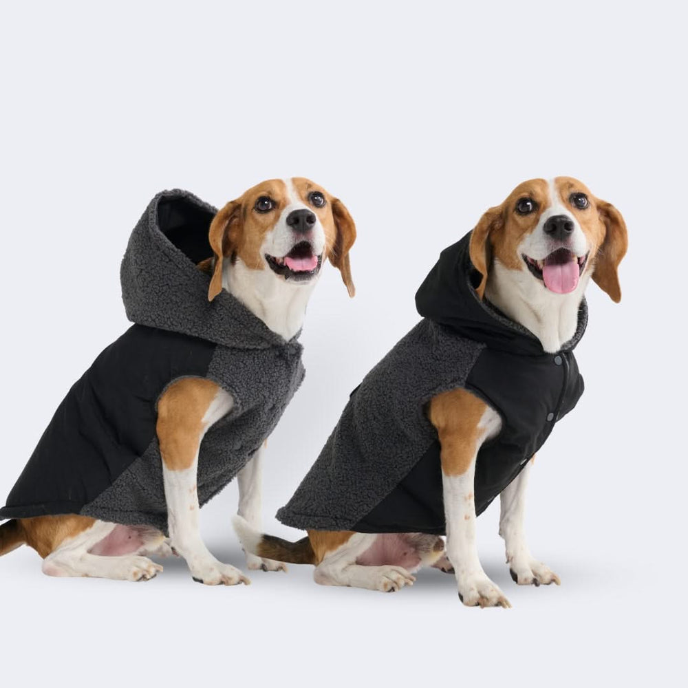 Winter Jacket Coats for Dogs Premium Vests and More SPARK PAWS