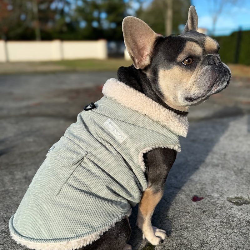 Corduroy dog jacket best sale