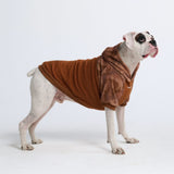 Desert Camo Dog Hoodie