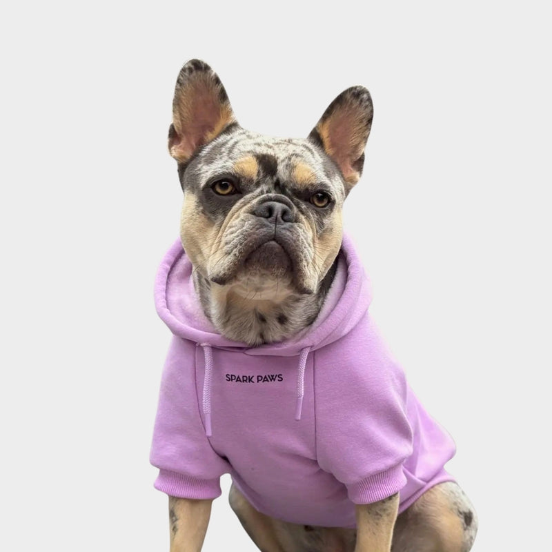 Essential Dog Hoodie - Orchid Purple