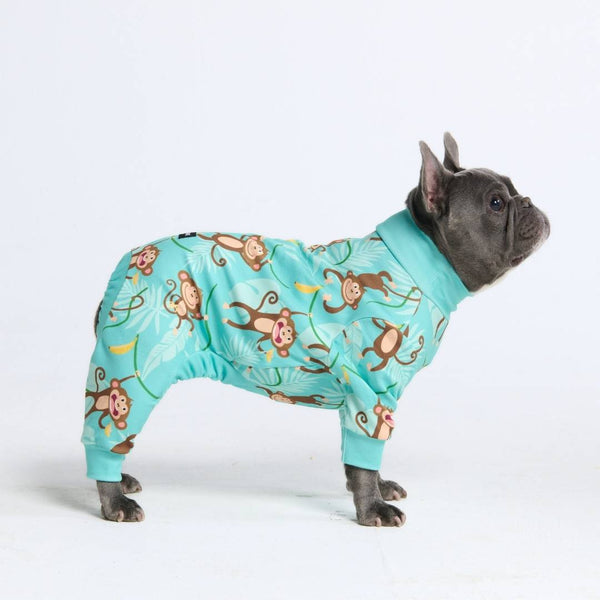 Dog Pajamas Onesies – SPARK PAWS