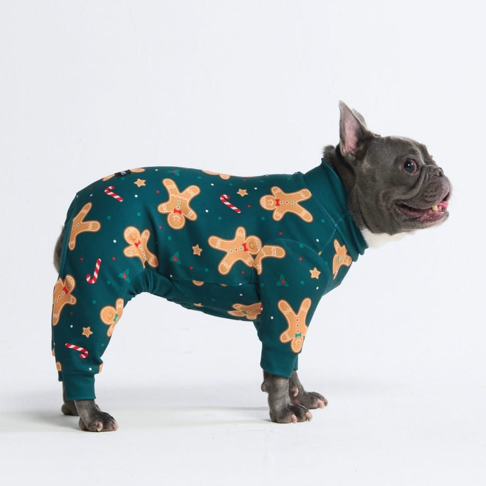 Big dog christmas pajamas best sale