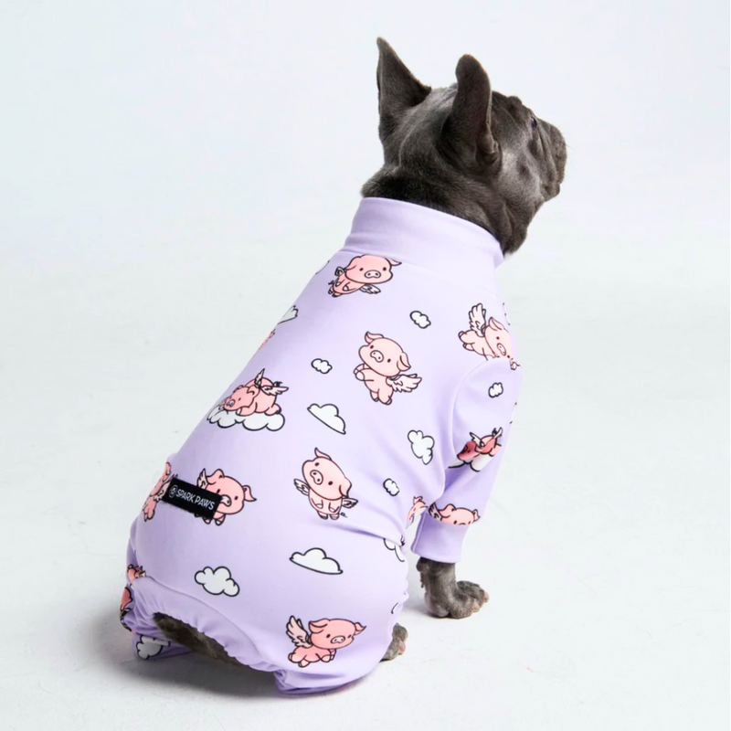 Dog Pajama - When Pigs Fly