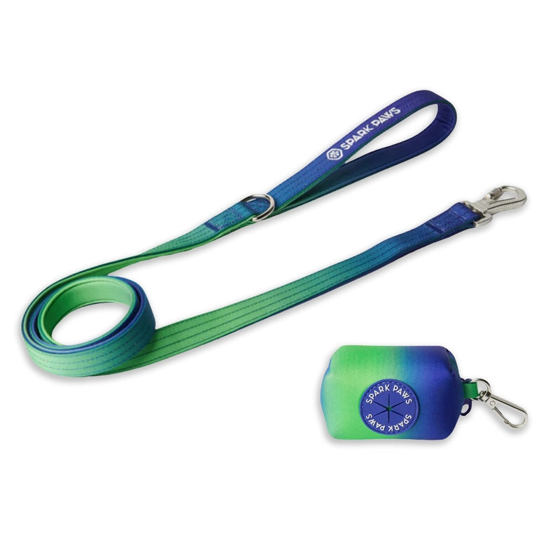 Lime Wave Neoprene Leash