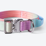 Comfort Control Collar Set - Pastel Icing