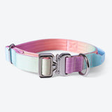 Comfort Control Collar Set - Pastel Icing