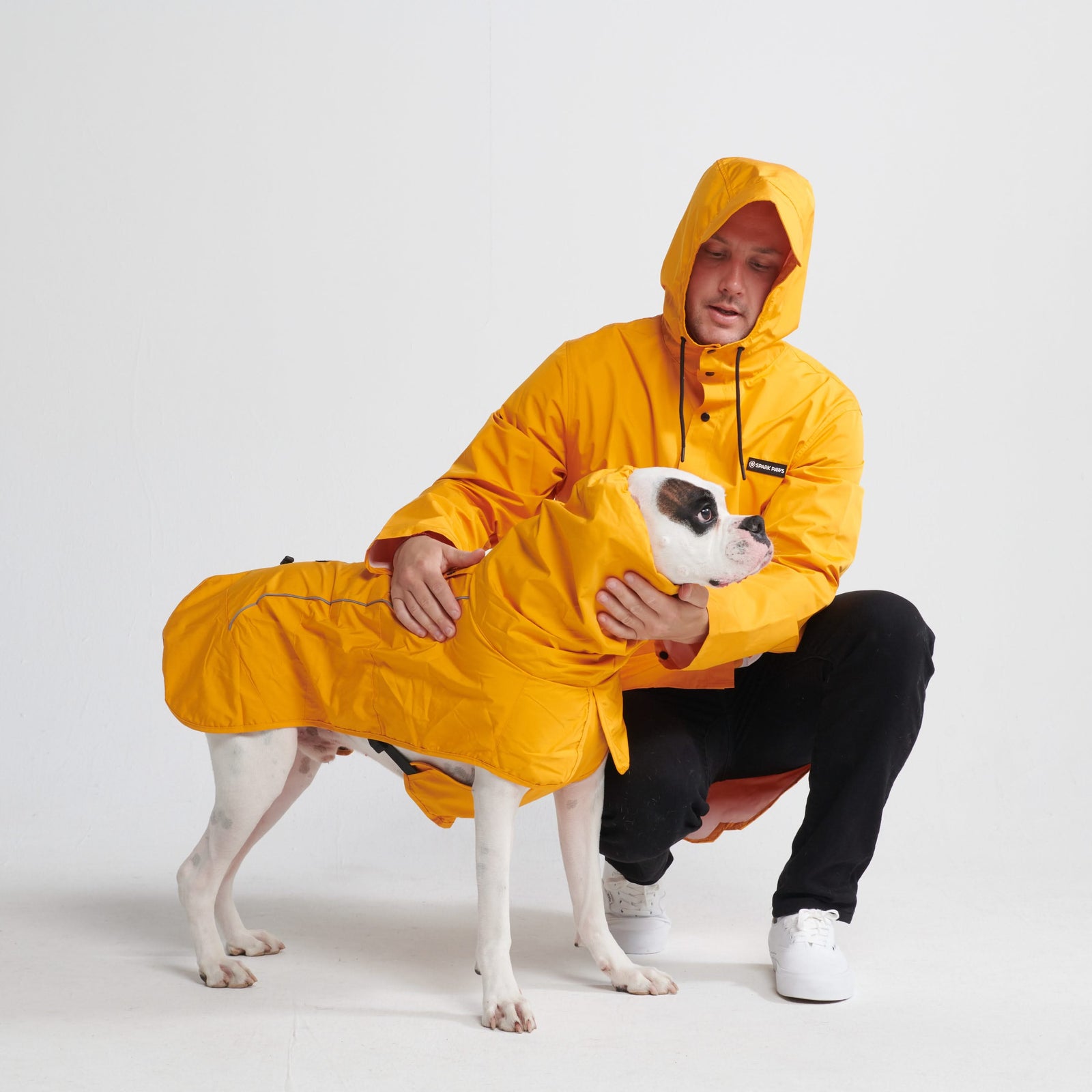 Dog in raincoat orders and boots