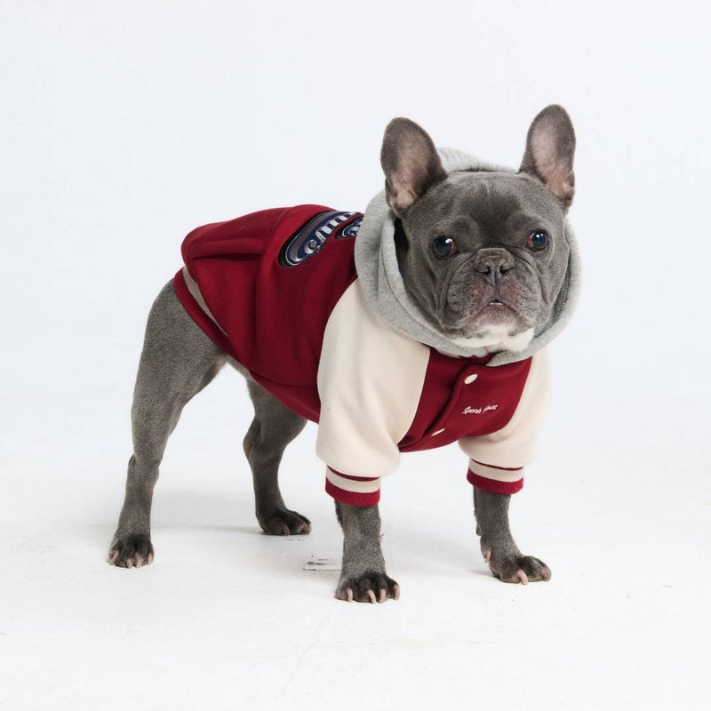 Dog Varsity Jacket - Red