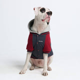 Dog Varsity Jacket - Grey Red