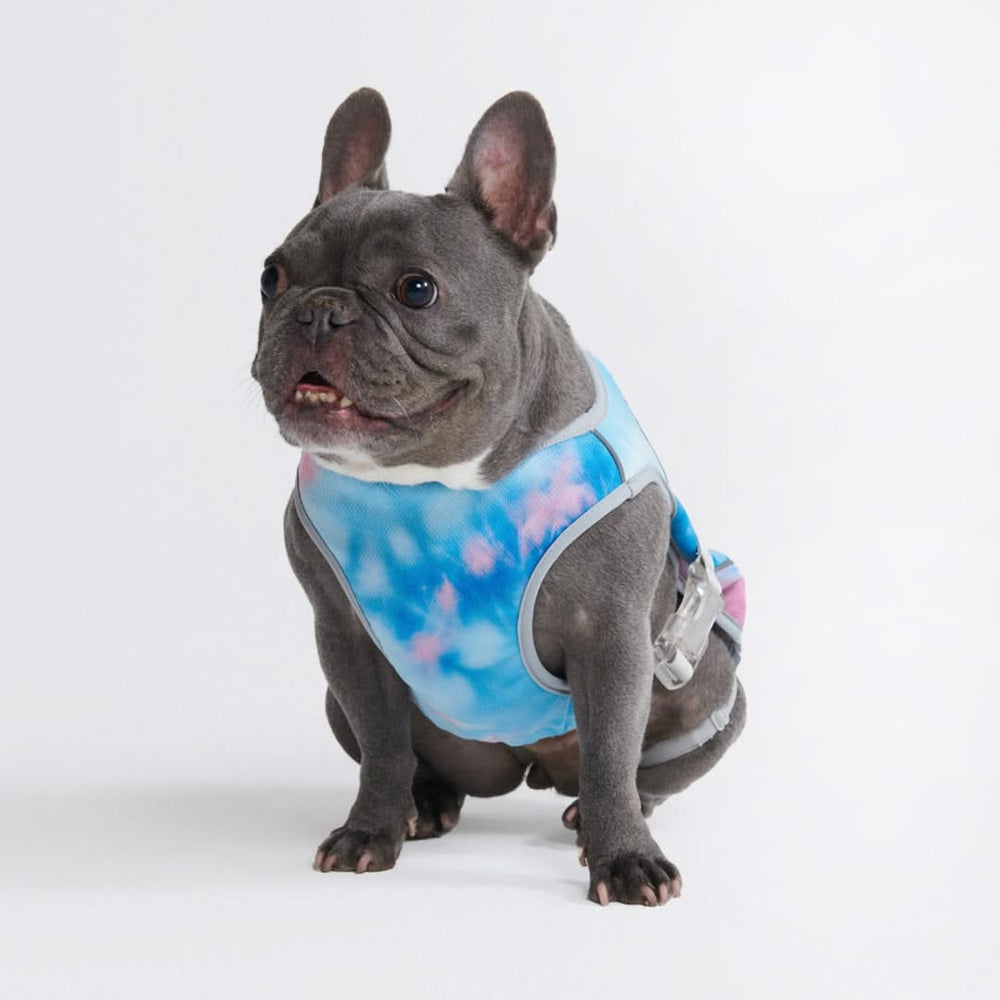 Cooling harness for french bulldog best sale