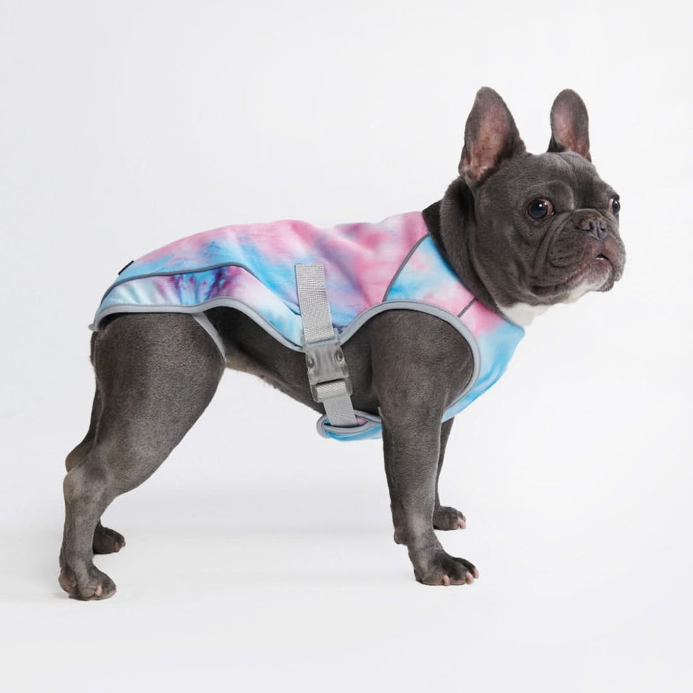 Bingpet dog cooling jacket hotsell