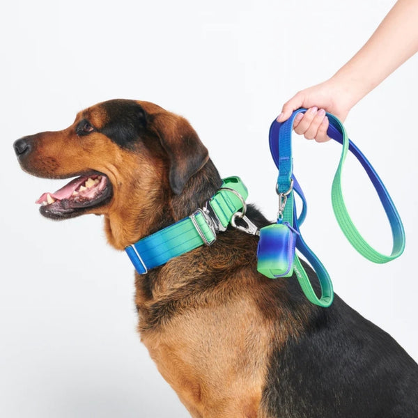 Comfort Control Dog Collars SPARK PAWS