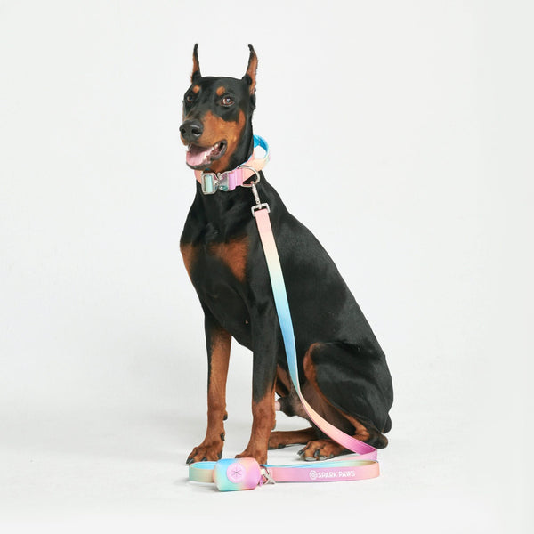 Leash and Poop Bag Holder Set - Pastel Icing