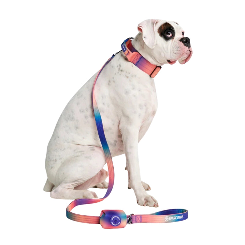 Kaleidoscope Neoprene Leash