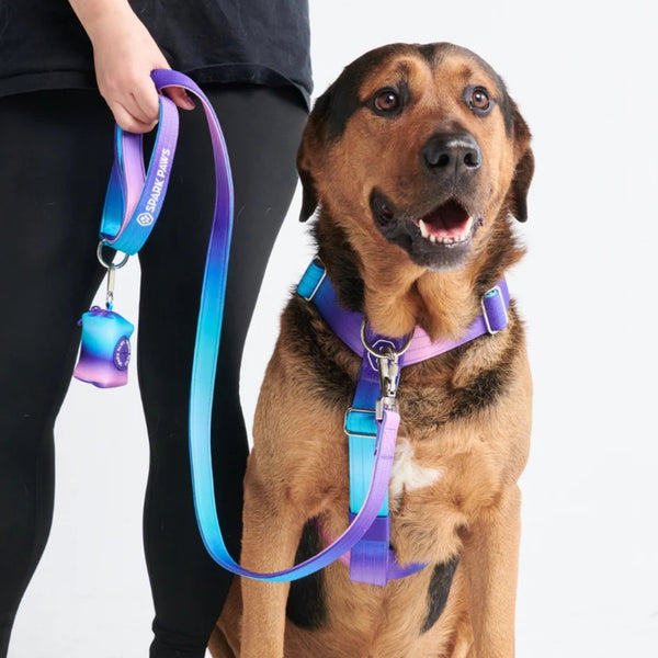 Comfort Control No Pull Dog Harness SPARK PAWS