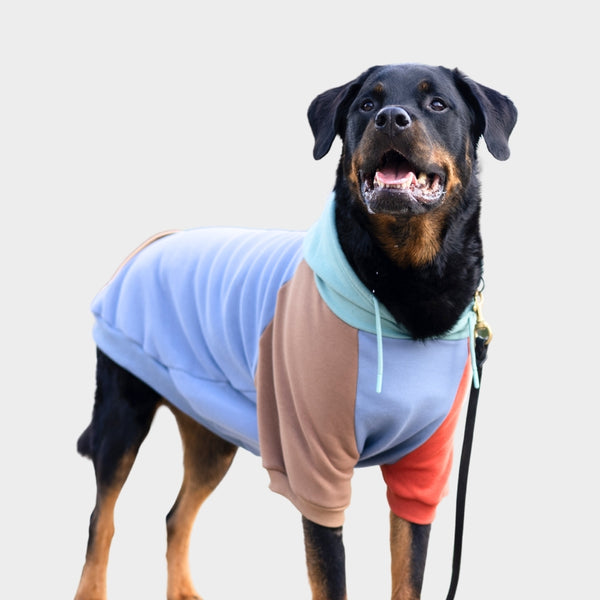 Large dog jerseys best sale