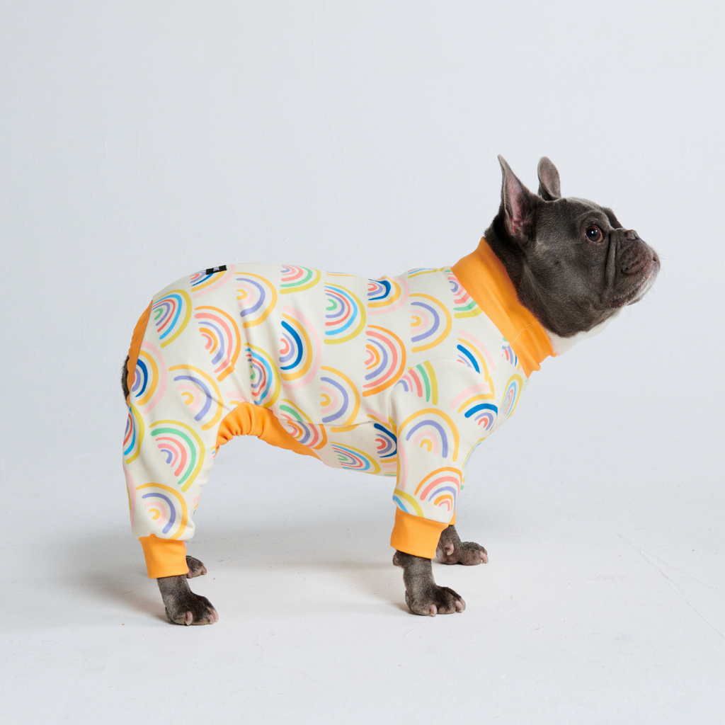 Dog Pajama - Oranges – SPARK PAWS