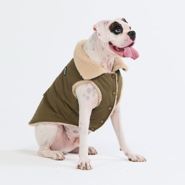 Workdog Sherpa-Lined Jacket - Green