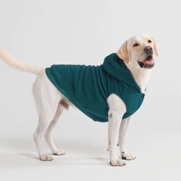 Teddy Sherpa Dog Jacket - Pine Green – SPARK PAWS