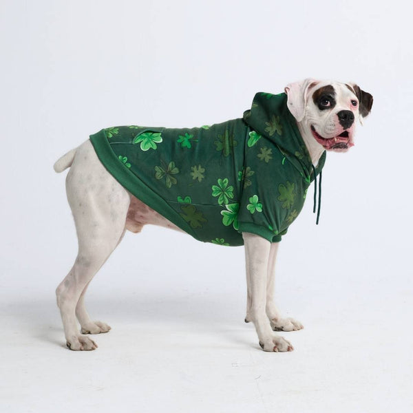 St. Patty's Dog Hoodie - Dark Green