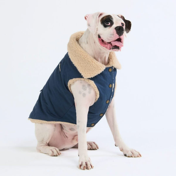 Cheap dog jackets hotsell