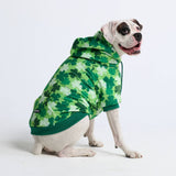 St. Patty's Dog Hoodie - Shamrocks (Limited Edition)