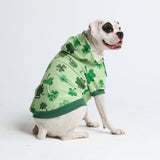 St. Patty's Dog Hoodie - Light Green (Limited Edition)