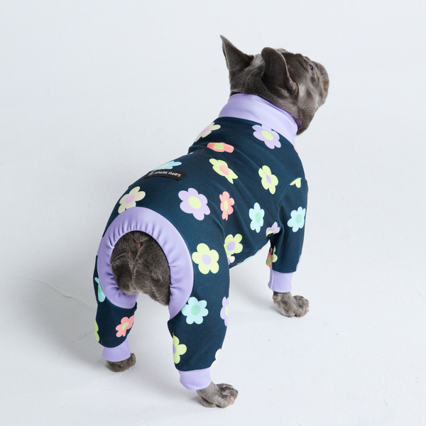 Dog Pajamas Onesies – SPARK PAWS