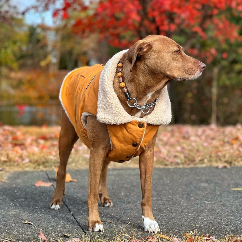 Yellow All-Terrain Vest