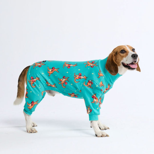 Dog Pajama - Boxing Kangaroo - Blue