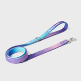 Leash and Poop Bag Holder Set - 90s Retro