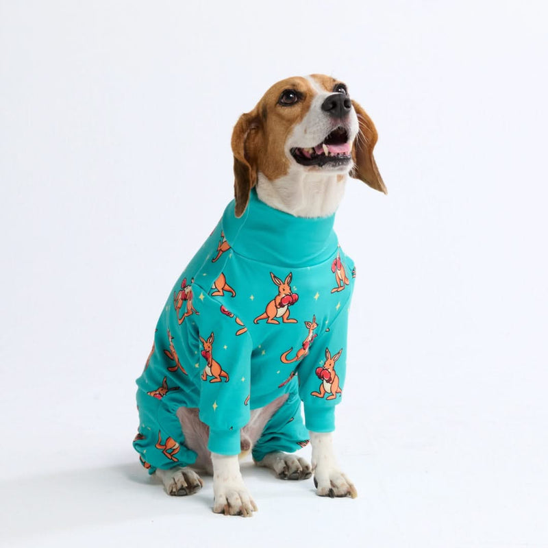 Dog Pajama - Boxing Kangaroo - Blue