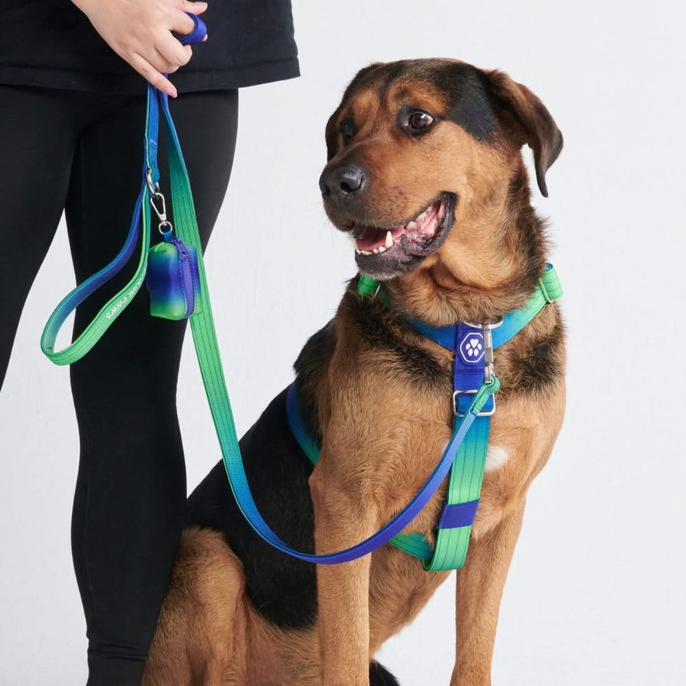 Comfort Control No Pull Dog Harness SPARK PAWS